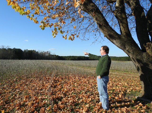 Jay Phillips, The Land Man