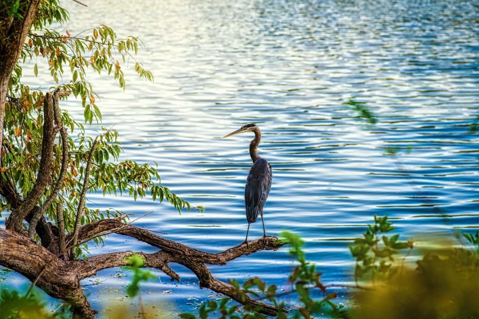 Waterfront land