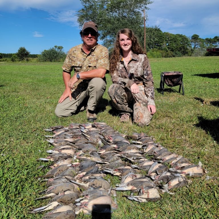Dove hunting