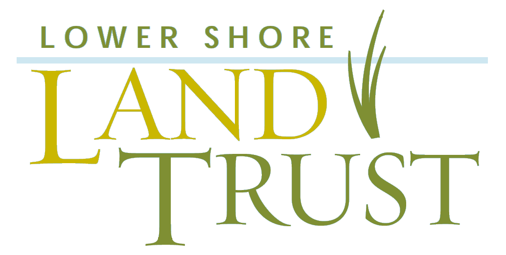 Lower Shore Land Trust